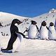 Happy Feet: rompiendo el hielo : photo George Miller