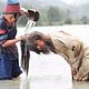 Fearless (Sin miedo) : photo Jet Li, Ronny Yu