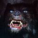 <b>Wolfgang Petersen</b> Foto : La historia interminable