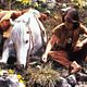 <b>Wolfgang Petersen</b> Foto : La historia interminable