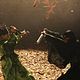 Photo Christophe L - FILM - Duelist : 110174