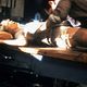 Foto - FILM - Le Facteur sonne toujours deux fois : 1