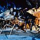 Starship Troopers : photo Paul Verhoeven
