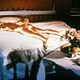 James Bond contra Goldfinger