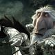Cazadores de dragones