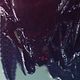 Photo Christophe L - FILM - Aliens vs. Predator - Requiem : 120576