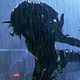 Photo Christophe L - FILM - Aliens vs. Predator - Requiem : 120576
