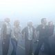 La niebla de Stephen King : photo Frances Sternhagen, Frank Darabont, Jeffrey DeMunn, Laurie Holden, Nathan Gamble