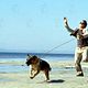Super Agente K-9 : photo James Belushi, Rod Daniel