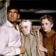 Los pájaros : photo Alfred Hitchcock, Jessica Tandy, Rod Taylor