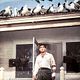 Photo Christophe L - FILM - Les Oiseaux : 1053