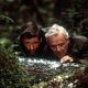 El desafío : photo Alec Baldwin, Anthony Hopkins, Lee Tamahori