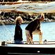 Mensaje en una botella : photo Kevin Costner, Luis Mandoki, Robin Wright