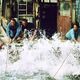 Photo Christophe L - FILM - Les Dents de la mer : 12789