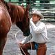 Photo Christophe L - FILM - L'Homme qui murmurait a l'oreille des chevaux : 18477