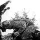 Photo Christophe L - FILM - King Kong contre Godzilla : 41227