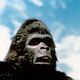 King Kong 2 : photo John Guillermin