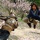 Photo - FILM - The Forbidden Kingdom : 123392