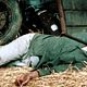 Foto - FILM - Vendredi 13 : 505