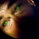 Photo - FILM - L'Incroyable Hulk : 114820