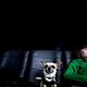 Foto - FILM - Beverly Hills Chihuahua : 127951