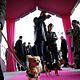 Un chihuahua en Beverly Hills : photo Raja Gosnell