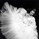 Photo Christophe L - FILM - Valse dans l'ombre : 10547
