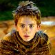 Arthur y la venganza de Maltazard : photo Freddie Highmore, Luc Besson