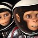 Space Chimps: Misión espacial : photo Kirk De Micco