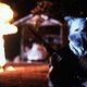 Arde Mississippi : photo Alan Parker