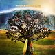 Surfer, Dude : poster Matthew McConaughey, S.R. Bindler