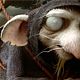 El valiente Despereaux