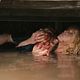 Foto - FILM - Eden Lake : 134327