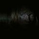Foto - FILM - Eden Lake : 134327