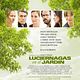 Luciérnagas en el jardín