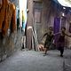 Foto - FILM - Slumdog Millionaire : 129924