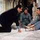 Foto - FILM - Un Sacré bordel ! : 52002