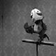 Mary and Max : photo Adam Elliot