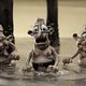 Mary and Max : photo Adam Elliot