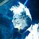 Halloween II : photo Rob Zombie