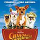 Un chihuahua en Beverly Hills : poster