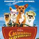 Un chihuahua en Beverly Hills : poster