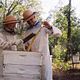 La vida secreta de las abejas : photo