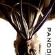 Cartel (otros) - FILM - Pandorum : 133946