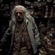 Harry Potter y las reliquias de la muerte: Parte 1 : photo David Yates, Rade Serbedzija