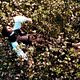 Foto - FILM - Bright Star : 111831