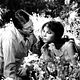 Foto - FILM - Divorce à l'italienne : 97129