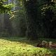 Foto - FILM - Non ma fille, tu n'iras pas danser : 137722