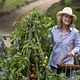 No es tan fácil : photo Meryl Streep, Nancy Meyers