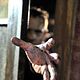 Foto - FILM - Survival of the Dead : 138265